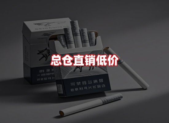 专业团队